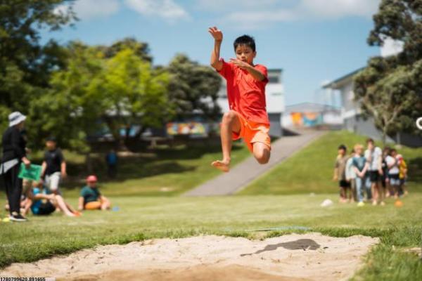 丽江市体育培训团购活动的优惠情况与报名流程